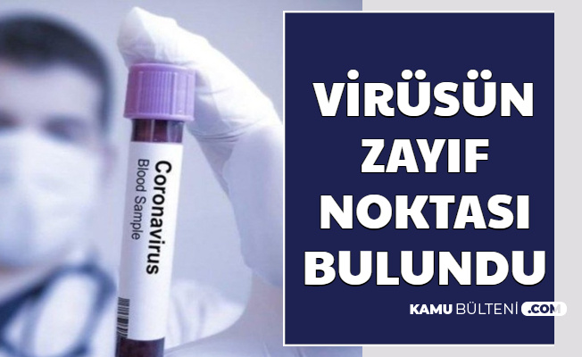 Coronanın Aşısı ve İlacı İçin Umutlandıran Haber: Virüsün Zayıf Noktası Bulundu