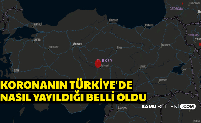 Coronavirüsün Türkiye'ye Nereden Geldiği , Nasıl Yayıldığı Belli Oldu