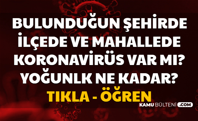 Covid 19 Sonrasi Hayat Eve Sigar Uygulamasi Yayimlandi Turkiye Ilce Mahalle Korona Haritasi Aciklandi