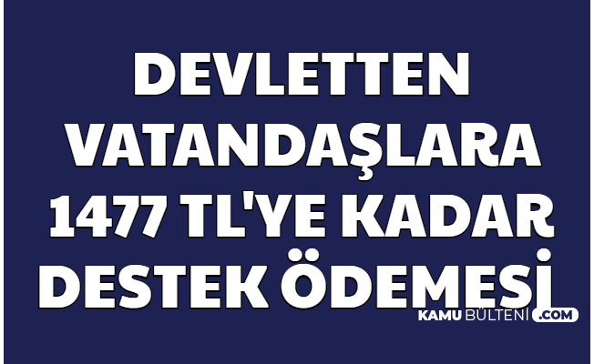 kamu bulteni