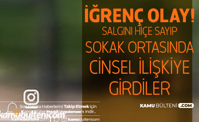 en çok cinsel ilişkiye giren hayvan en çok cinsel ilişkiye giren hayvan