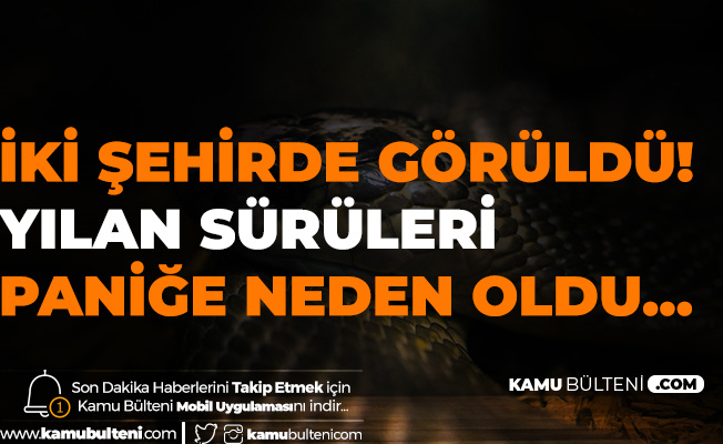 kamu bulteni