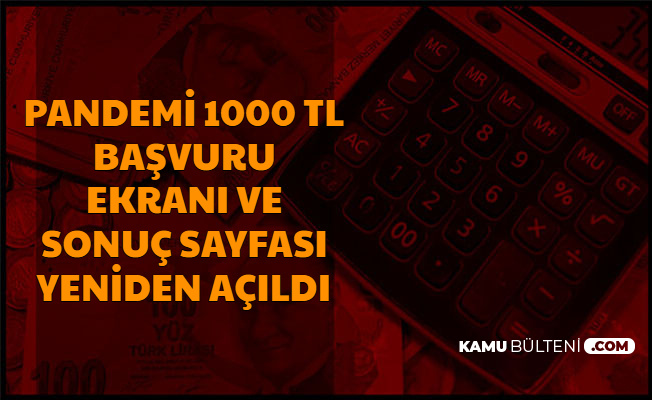 pandemi basvurusu pandemi