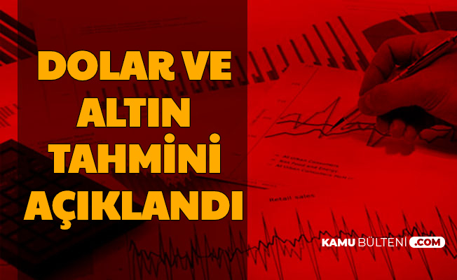 Altin Fiyatlari Ve Dolar Kuru Tahmini Ile Dolar Tl Nin Neden Yukseldigi Aciklandi