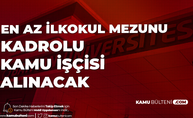 kamu bulteni