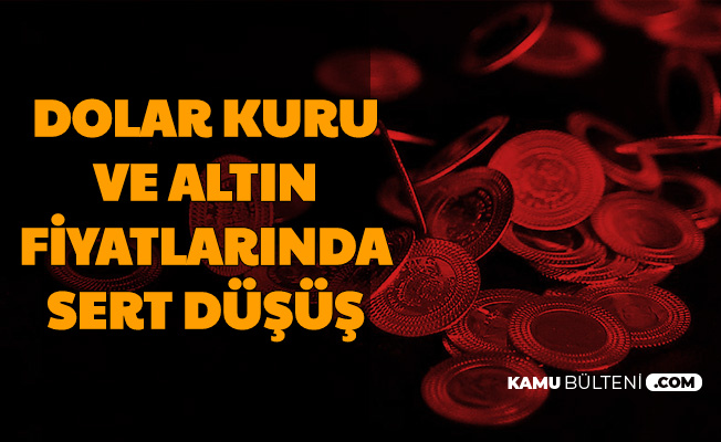 Dolar Kuru Ve Altin Fiyatlarinda Sert Dusus Neden Dusuyor