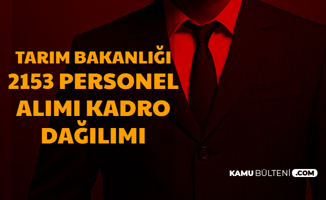 Son Dakika 2 Bin 153 Kamu Personeli Alimi Kadro Dagilimi Aciklandi