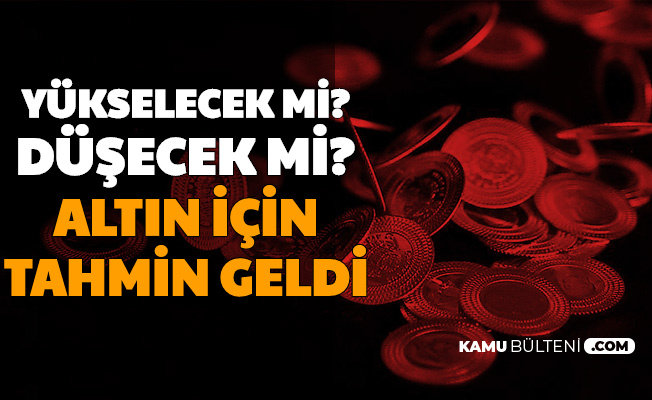 Yukselecek Mi Dusecek Mi Altin Fiyatlari Icin Tahmin Yayimlandi