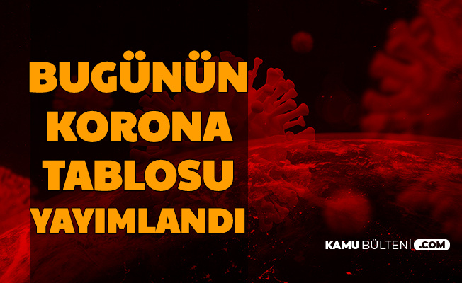 12 Haziran Korona Tablosu Yayımlandı: İşte Bugünün ...