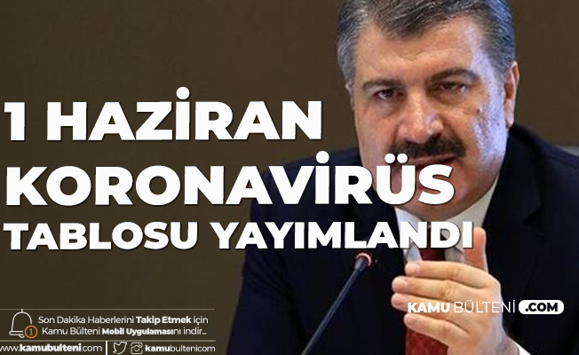 1 Haziran Türkiye Koronavirüs Güncel Tablosu Yayımlandı