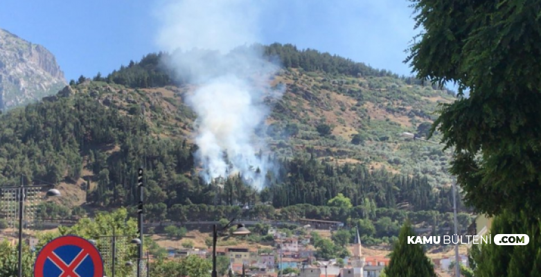 Son Dakika: Manisa'da Orman Yangını