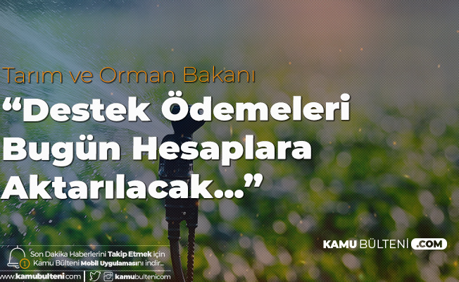 Tarım ve Orman Bakanı Pakdemirli Açıkladı: Ödemeler Bugün Hesaplara Aktarılacak Tarım ve Orman Bakanı Pakdemirli Açıkladı: Ödemeler Bugün Hesaplara Aktarılacak