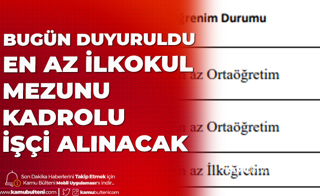 kamu bulteni