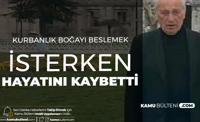 Artvin'den Kötü Haber! Kurbanlık Aldığı Boğanın Saldırısı Sonucu Hayatını Kaybetti Artvin'den Kötü Haber! Kurbanlık Aldığı Boğanın Saldırısı Sonucu Hayatını Kaybetti
