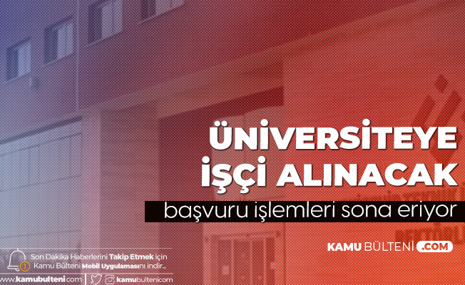 kamu bulteni