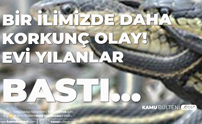 kamu bulteni