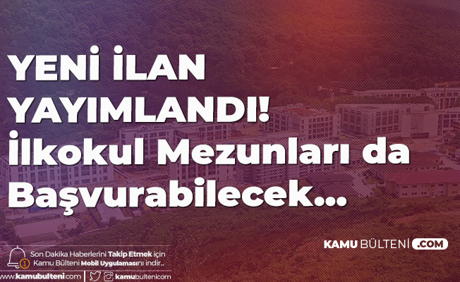 kamu bulteni