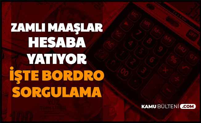 E Devlet Haberleri Kamu Bulteni Haber Sitesi