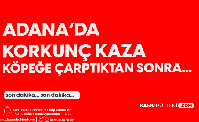 Adana'da Köpeğe Çarpan Araç Takla Attı! 3 Kişi Yaralandı Adana'da Köpeğe Çarpan Araç Takla Attı! 3 Kişi Yaralandı