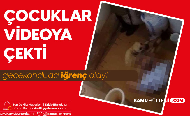 Altin Fiyatlari Artinca Herkes Altina Yonelmisti Uyari Geldi Buyuk Risk Var