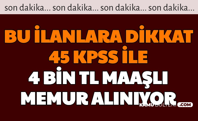 Kamu Personeli Alimi Haberleri Kamu Bulteni Haber Sitesi