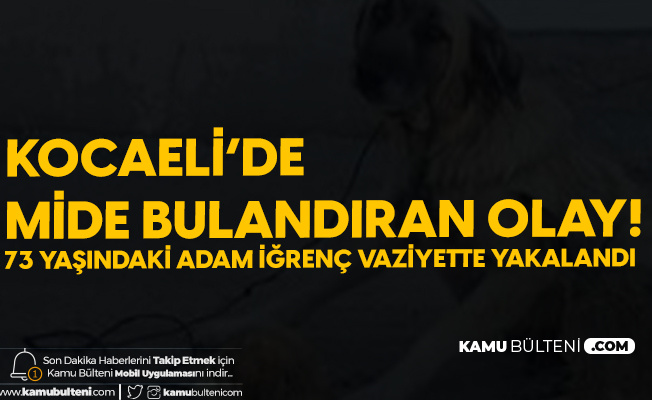 Yaşlı Adam Köpeğe Tecavüz Ederken Yakalandı Yaşlı Adam Köpeğe Tecavüz Ederken Yakalandı