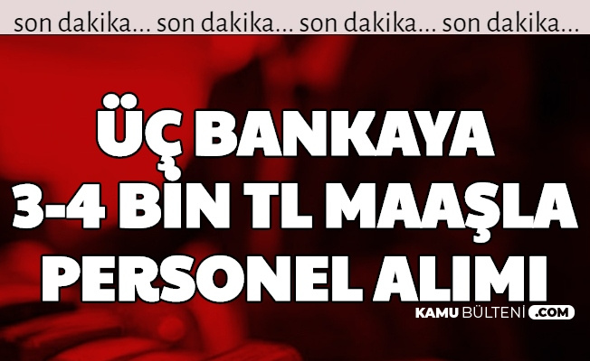 Is Haberleri Kamu Bulteni Haber Sitesi