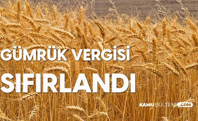 Buğday, Arpa ve Mısırda Gümrük Vergisi Sıfırlandı Buğday, Arpa ve Mısırda Gümrük Vergisi Sıfırlandı