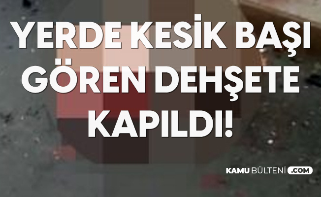 Dehşete Düşüren Kaza! Başı Gövdesinden Ayrıldı Dehşete Düşüren Kaza! Başı Gövdesinden Ayrıldı