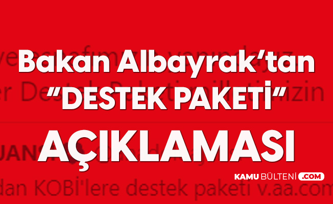 Hazine ve Maliye Bakanı Albayrak'tan 'Destek Paketi' Açıklaması Hazine ve Maliye Bakanı Albayrak'tan 'Destek Paketi' Açıklaması