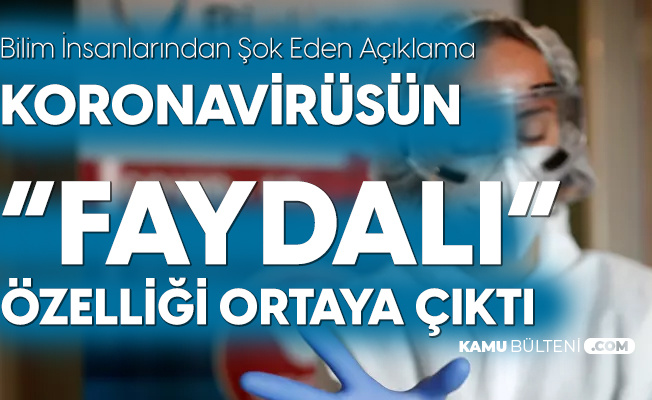 Koronavirüsün Beklenmedik 'Faydalı' Özelliği Ortaya Çıktı Koronavirüsün Beklenmedik 'Faydalı' Özelliği Ortaya Çıktı
