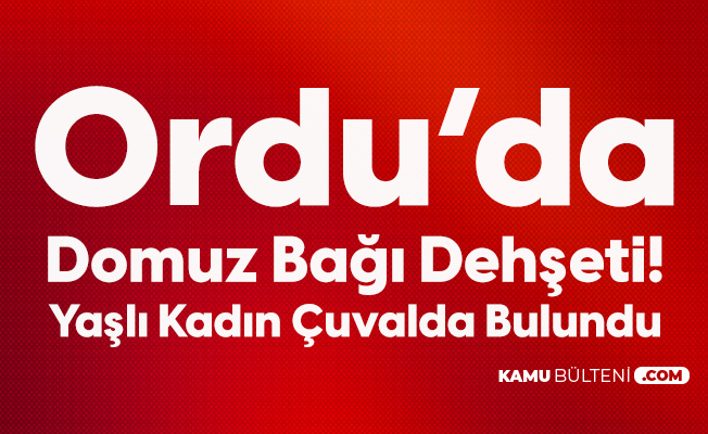 Dehsete Dusuren Olay Yasli Kadini Domuz Bagi Ile Baglayip Olume Terk Ettiler