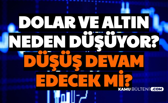 Dolar Euro Ve Gram Ceyrek Altinda Dusus Suruyor Neden Dusuyor Dusecek Mi Cikacak Mi
