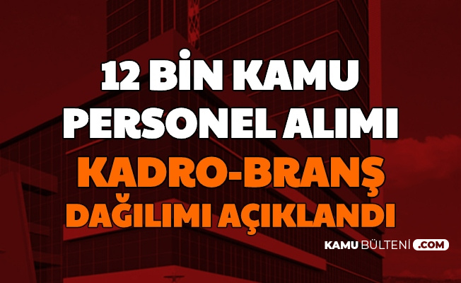 12 bin personel alimi kadro brans dagilimi aciklandi saglik bakanligi 2020 14 tercihleri
