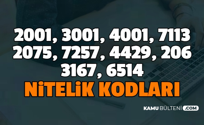 2001 3001 4001 7113 2075 7257 4429 2061 3167 6514 Nitelik Kodlari Nedir Iste Anlami