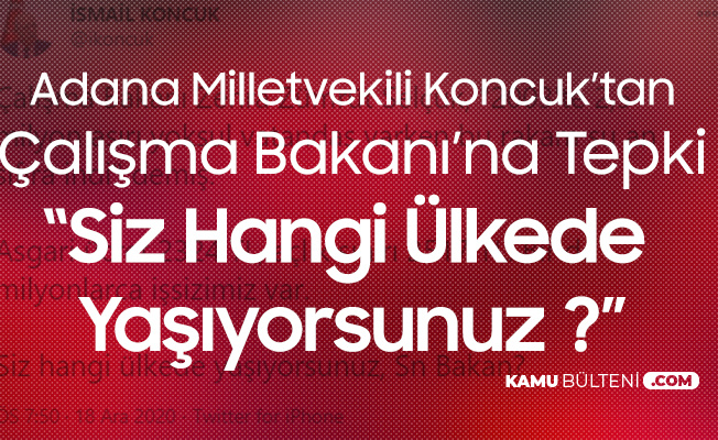 Adana Milletvekili İsmail Koncuk'tan Selçuk'a 'Asgari Ücret' Vurgulu Tepki: Siz Hangi Ülkede Yaşıyorsunuz ? Adana Milletvekili İsmail Koncuk'tan Selçuk'a 'Asgari Ücret' Vurgulu Tepki: Siz Hangi Ülkede Yaşıyorsunuz ?