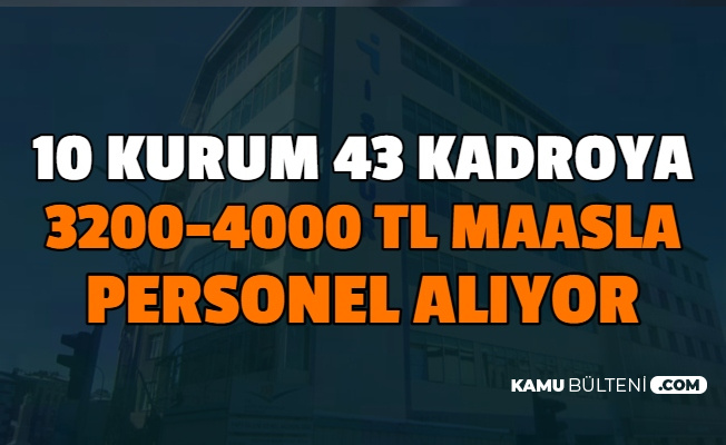 10 kurum 43 kadroya 966 kamu personeli