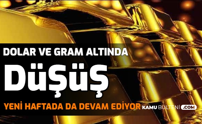 dolar ve 24 ayar gram altin kac tl fiyatlar dusmeye devam ediyor