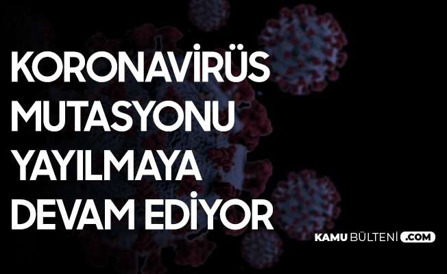 Koronavirüs Mutasyonu Filipinler'e de Sıçradı Koronavirüs Mutasyonu Filipinler'e de Sıçradı