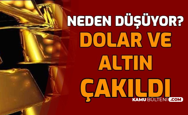 son dakika haberler altin ve dolar fiyatlari dusuyor neden dusuyor ne kadar duser