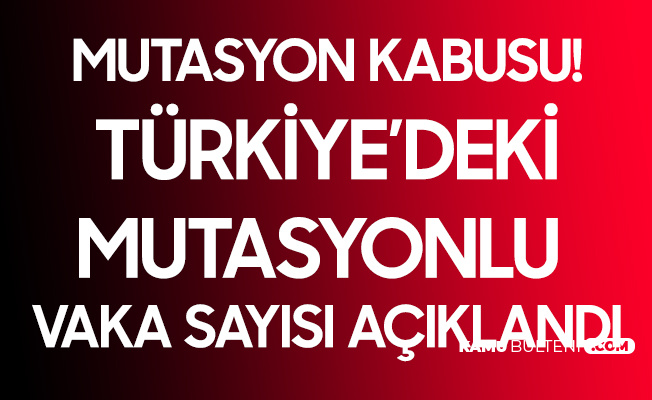 Son Dakika! Türkiye'deki Mutasyon Vakası 196'ya Yükseldi Son Dakika! Türkiye'deki Mutasyon Vakası 196'ya Yükseldi