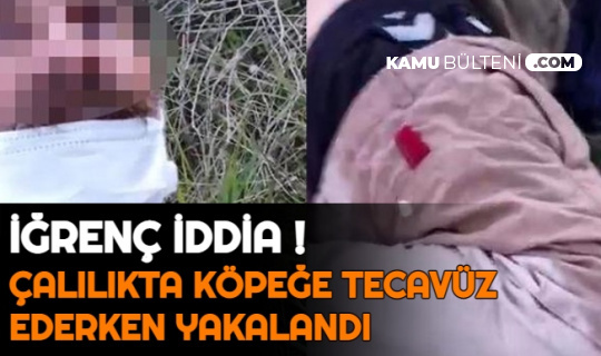 İğrenç İddia: Köpeğe Tecavüz Ederken Yakalandı