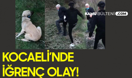 kopege cinsel istismarda bulunan yasli adam gencler tarafindan darbedildi