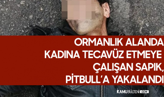 ormanlik alanda kadina tecavuz etmeye