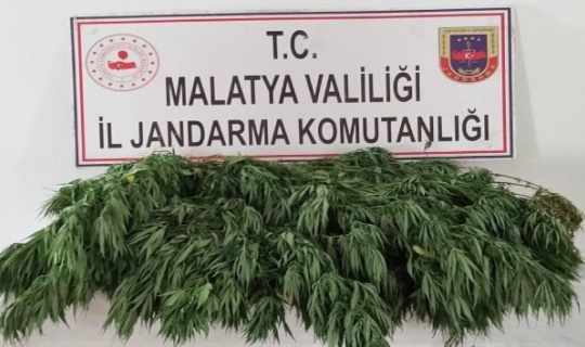 Arguvan jandarma ekipleri suçlulara göz açtırmıyor Arguvan jandarma ekipleri suçlulara göz açtırmıyor