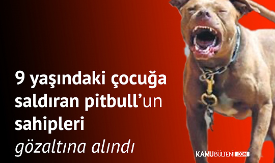 İstanbul Kartal’da 9 yaşındaki Çocuğa Saldıran Pitbull Cinsi Köpeğin Sahipleri Gözaltına Alındı İstanbul Kartal’da 9 yaşındaki Çocuğa Saldıran Pitbull Cinsi Köpeğin Sahipleri Gözaltına Alındı