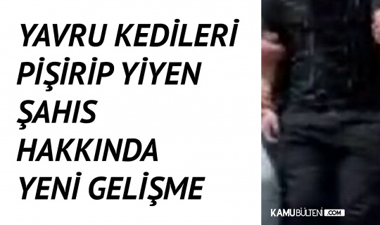 Yavru Kedileri Yiyen Şahıs Sınır Dışı Edildi Yavru Kedileri Yiyen Şahıs Sınır Dışı Edildi