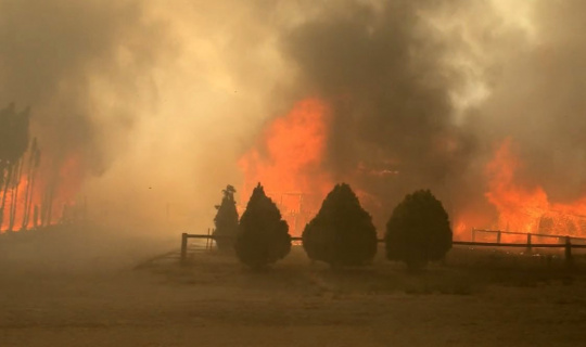 Aşırı sıcakların kasıp kavurduğu Kanada’da orman yangını