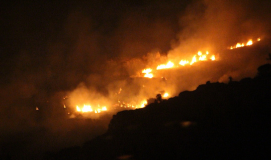 Bodrum’da çıkan yangın evlere ulaşmadan kontrol altına alındı