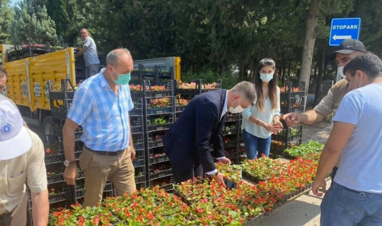 Bursa’da mezarlık ziyaretçilerine ücretsiz çiçek Bursa’da mezarlık ziyaretçilerine ücretsiz çiçek